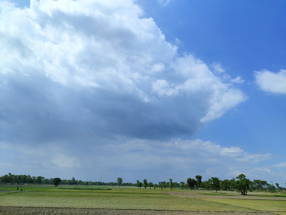 Blog Image